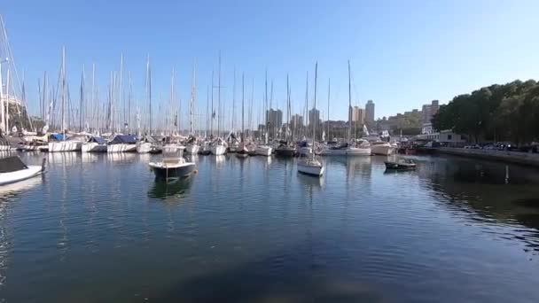 Svátek Každoročně Rushcutters Zálivu Sydney Kde Flotila Nahoru Sydney Harbour — Stock video