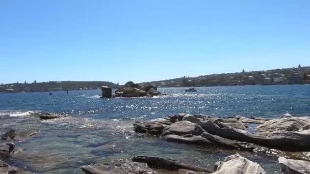 Plaża Skale Tekstury Wokół Sydney Australia — Wideo stockowe