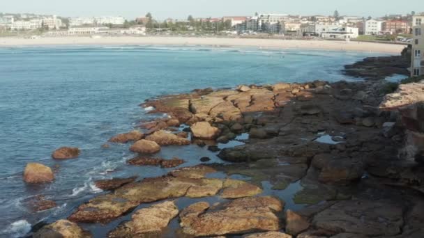 Beach Rock Textures Sydney Australia — Stock Video