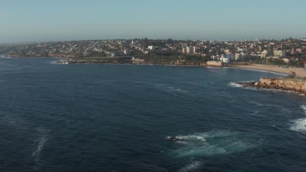 澳大利亚悉尼周围岩石上海浪破裂的鸟图 — 图库视频影像