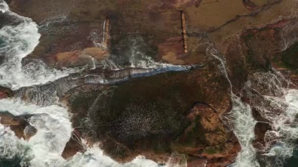 Vista Aérea Olas Rompiendo Sobre Rocas Mostrando Texturas Colores Interesantes — Vídeos de Stock