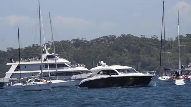 Svátek Každoročně Rushcutters Zálivu Sydney Kde Flotila Nahoru Sydney Harbour — Stock video