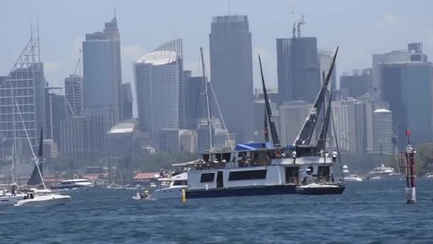 Boxing Günü Rushcutters Bay Nerede Filo Sydney Harbour Fırsatta Kafaları — Stok video