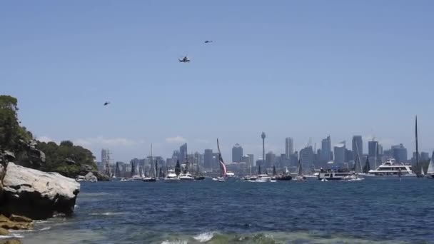 Boxing Günü Rushcutters Bay Nerede Filo Sydney Harbour Fırsatta Kafaları — Stok video