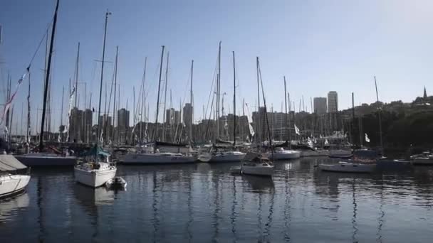 Svátek Každoročně Rushcutters Zálivu Sydney Kde Flotila Nahoru Sydney Harbour — Stock video