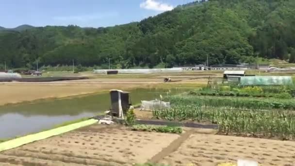 Städte Entlang Der Zugstrecke Japan — Stockvideo