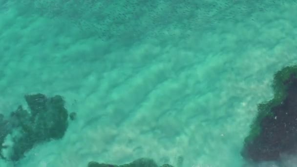 Aerial View Waves Breaking Rocks Showing Interesting Textures Colours Sydney — Stock Video