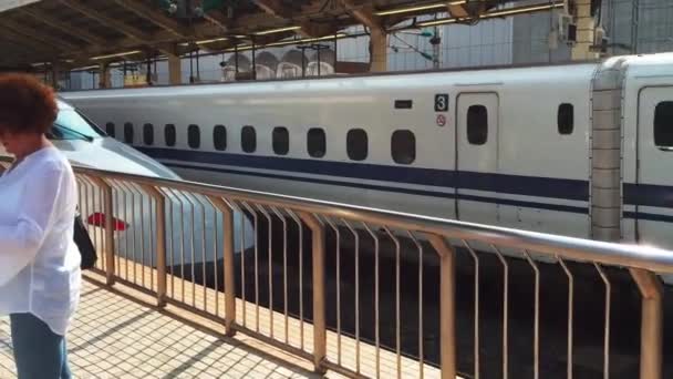 Şehir Kasabalarda Japonya Tren Yolu Boyunca — Stok video