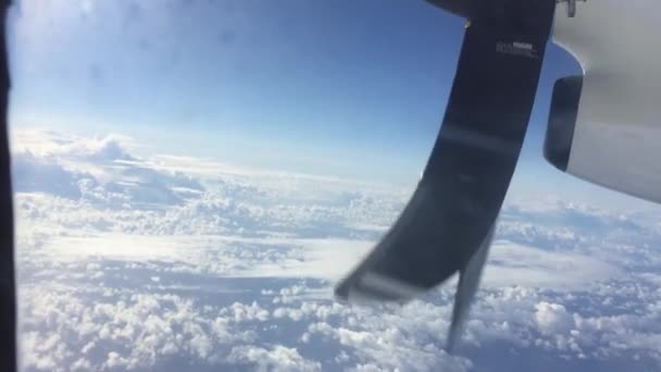 プロペラの景色を窓から見ているプロペラ旅客機 — ストック動画