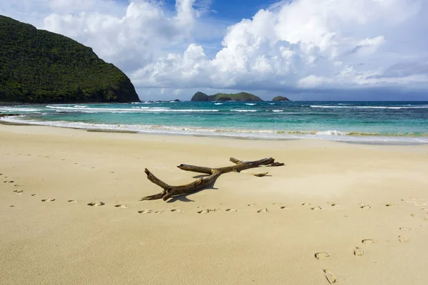 Neds Beach Lord Howe Adası Avustralya bozulmamış kumsalda