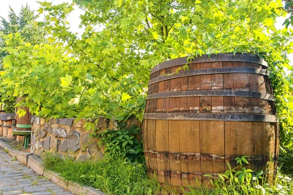 Prensa de vino viejo y barrica de vino rústico.. Fondo del vino en Europa. República Checa, Moravia del Sur —  Fotos de Stock