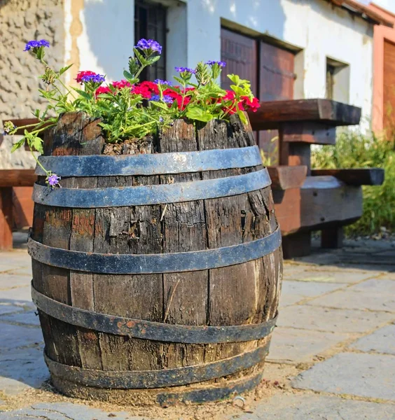 Viejo barril de vino rústico con flores. Fondo del vino en Europa. República Checa, Moravia del Sur —  Fotos de Stock