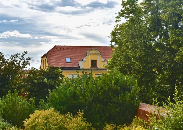 Contesto storico urbano. Colori tenui. Fiori e costruzione su sfondo. Focus selettivo — Foto Stock