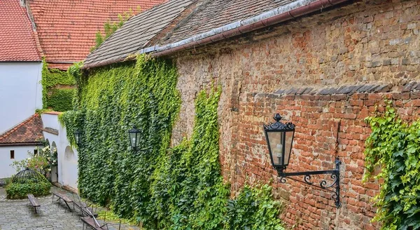 Ivy on red brick wall. Old fashioned urban lighting on red wall. Historical urban backyard