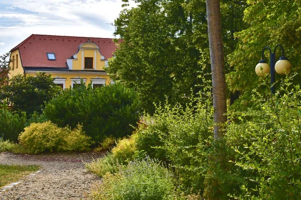 Stedelijke historische achtergrond. Romantische stadspark. Zachte kleuren. Bloemen en gebouw op achtergrond. Selectieve aandacht — Stockfoto