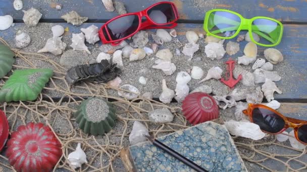 Muscheln auf blauem Hintergrund. Sommerreisezeit. Meeresurlaub Hintergrund mit verschiedenen Muscheln, Sonnenbrille und Vintage-Kamera. Laien-Design. Ansicht von oben. flache Lage — Stockvideo