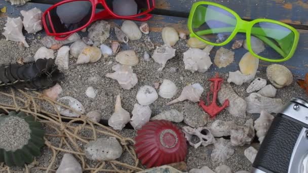 Muscheln auf blauem Hintergrund. Sommerreisezeit. Meeresurlaub Hintergrund mit verschiedenen Muscheln, Sonnenbrille und Vintage-Kamera. Laien-Design. Ansicht von oben. flache Lage — Stockvideo