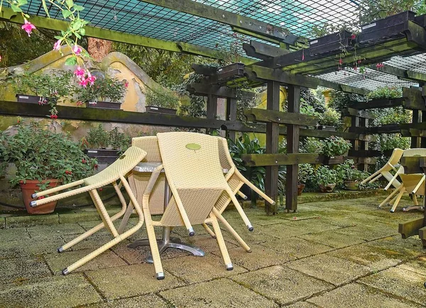 Abandoned outside terrace of restaurant. Little garden in restaurant. Garden style — Stock Photo, Image