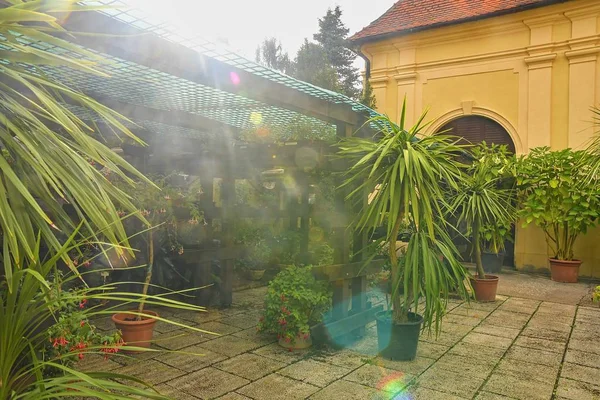 Little garden in restaurant. Garden style. Sun flare