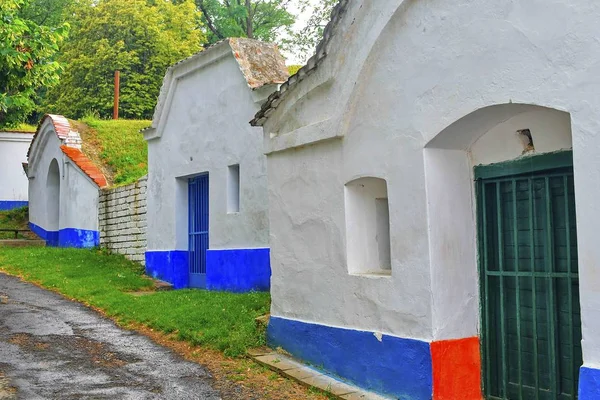 Caves Vinho Tradicionais Plze Petrov República Checa Europa Lore Vinho — Fotografia de Stock