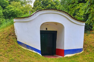 Geleneksel şarap mahzenleri - Plze, Petrov, Çek Cumhuriyeti, Avrupa. Şarap irfan ve folklor. Moravyalı şarap mahzenleri.