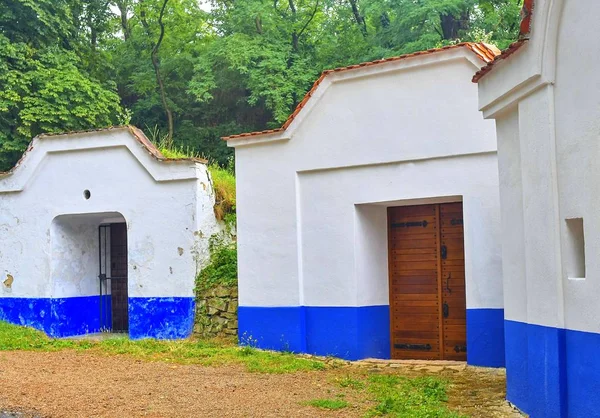 Cantine Petrov Plze Regione Vitivinicola Moravia Meridionale Repubblica Ceca — Foto Stock