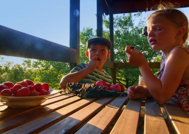 Küçük kız ve çocuk meyve yiyor. Bir masada elma, üzüm ve domates. Küçük kız ve çocuk bir verandadaki bir masada oturup taze elma ve üzüm yeme. Dreamy ve hale
