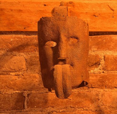 Cadıların dizginleri, dalların dizginleri ya da basit dalları olarak da adlandırılan dizginler, bir çeşit işkence ve toplum önünde aşağılama aracı olarak kullanılıyordu.