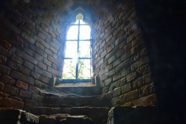 Gotik pencere. Ortaçağ manastırının kalıntıları. Rosa Coeli Dolni Kounice, Çek manastırı.