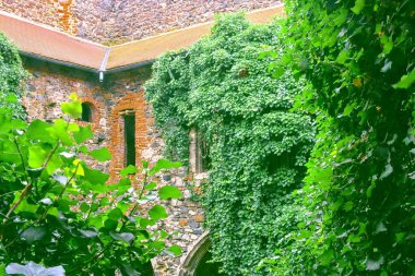 Ortaçağ manastırının kalıntıları. Rosa Coeli Dolni Kounice, Çek manastırı.