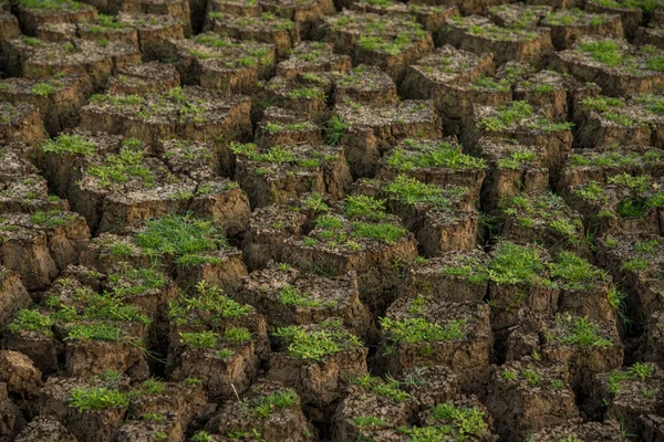 Cracked soil ground background. A closeup of cracks on ground due to drought of reservoir.