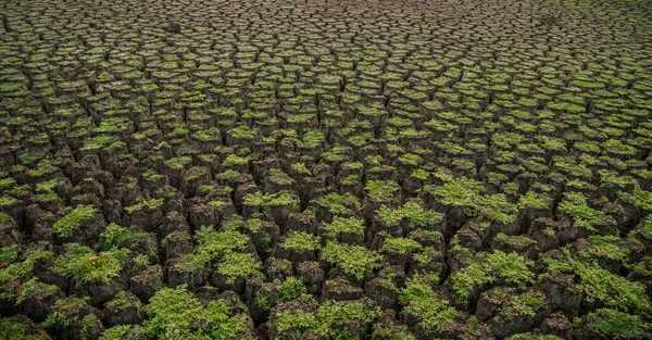 Cracked soil ground background. A closeup of cracks on ground due to drought of reservoir.