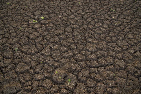 Çatlamış Toprak Zemini Rezervuar Kuraklığı Nedeniyle Yerdeki Çatlakların Yakınlaştırılması — Stok fotoğraf