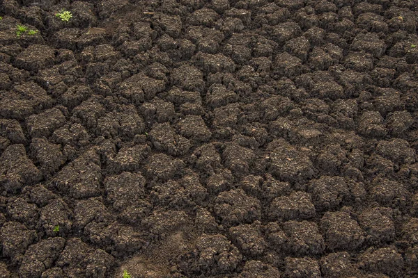 Cracked Soil Ground Background Closeup Cracks Ground Due Drought Reservoir — Stock Photo, Image