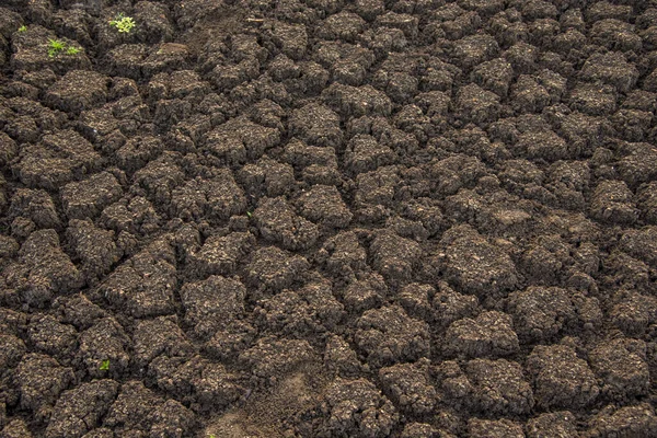 Cracked Soil Ground Background Closeup Cracks Ground Due Drought Reservoir — Stock Photo, Image