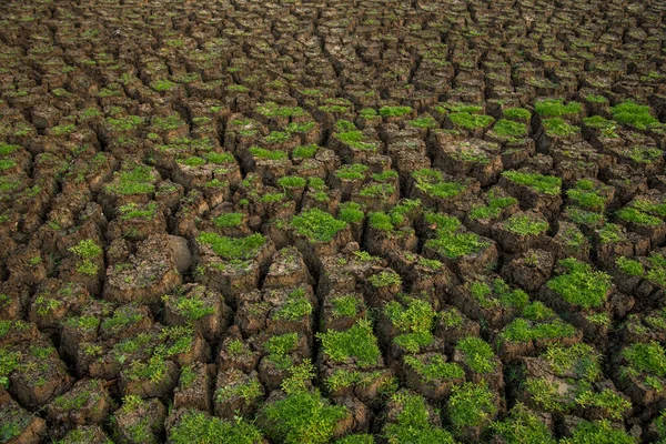 Cracked soil ground background. A closeup of cracks on ground due to drought of reservoir.