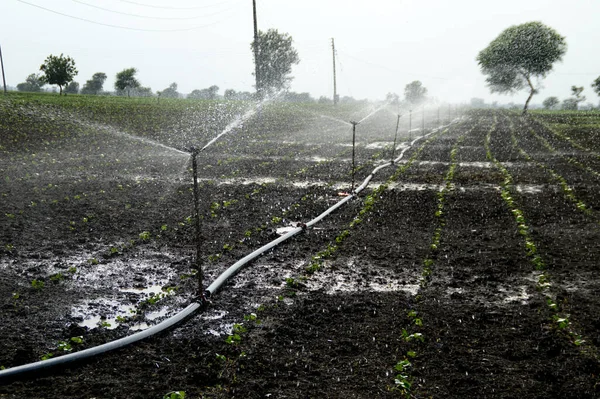 农田灌溉自动洒水系统洒水机 — 图库照片