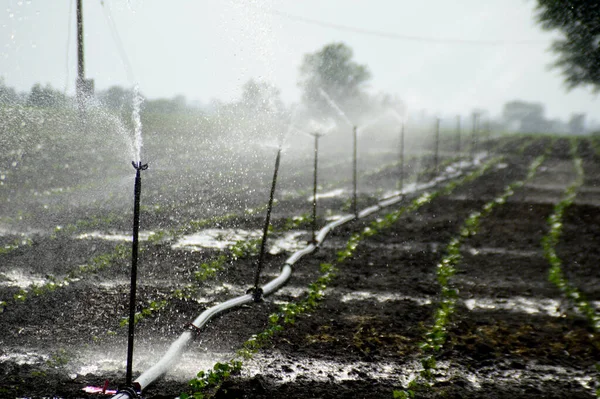 Дождеватели Автоматическая Поливочная Система Полива Дождевальной Воды Ферме — стоковое фото