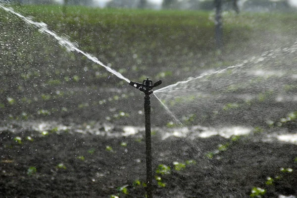 Aspersores Rega Automática Sistema Irrigação Por Aspersão Fazenda — Fotografia de Stock