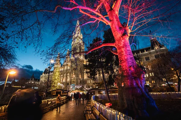 Vienna, Avusturya - 10 Aralık 2018: Night shot Rathausplatz, ışıklı süslü ağaç, Belediye Binası içinde belgili tanımlık geçmiş vasıl Noel piyasaları