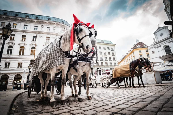 Вена Австрия Декабря 2018 Года Конный Экипаж Площади Центре Города — стоковое фото