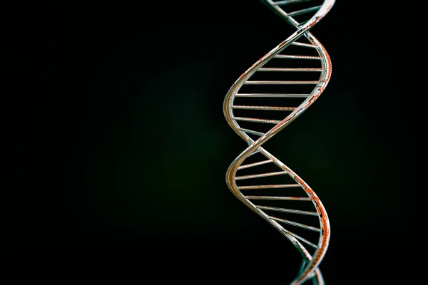 Dna Doppia Elica Materiale Lucido Rosso Fondo Scuro — Foto Stock