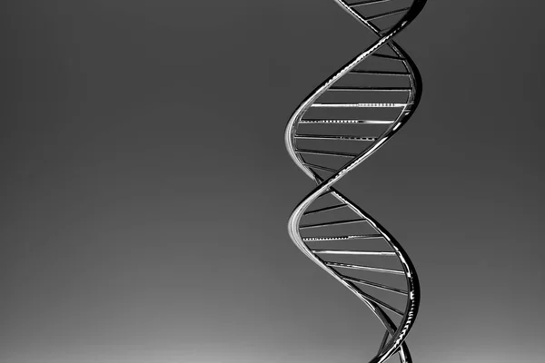 DNA double helix, grey glossy material, dark gradient background