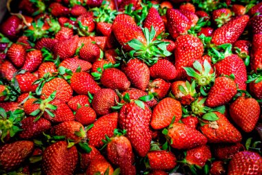 Taze toplanmış çileklerin arka planı, tam üstte.