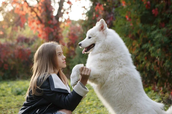 Jovem mulher com um cão para um passeio no parque — Fotografia de Stock