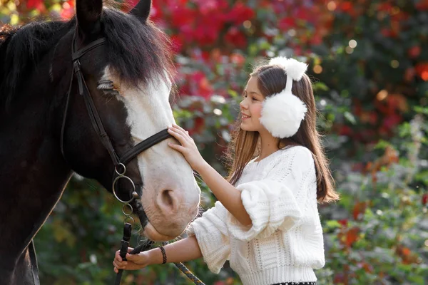 Therapy with horses - hippo therapy — Stock Photo, Image