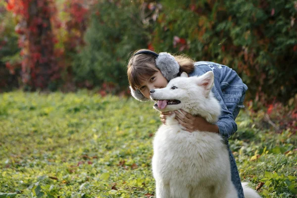 Uma menina pequena bonito dando um abraço ao seu cão, um labrador amarelo em um parque com árvores de outono no fundo — Fotografia de Stock