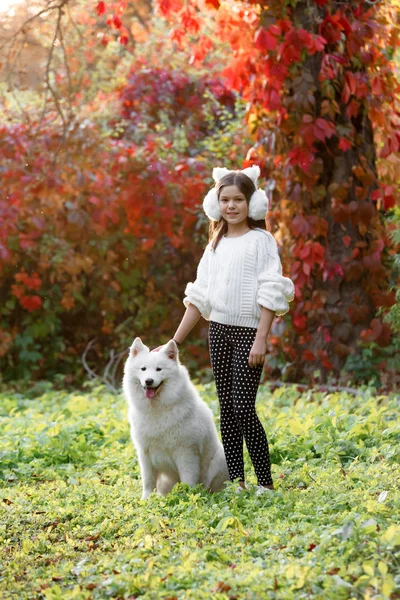 Menina abraçando seu cão em um parque — Fotografia de Stock