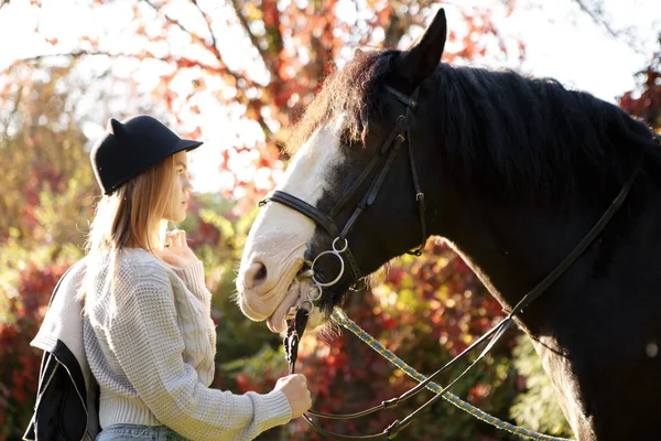 Beautiful girl and a horse — Stock Photo, Image