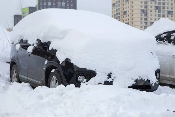Samochody pod śniegiem. Opady śniegu w mieście — Zdjęcie stockowe